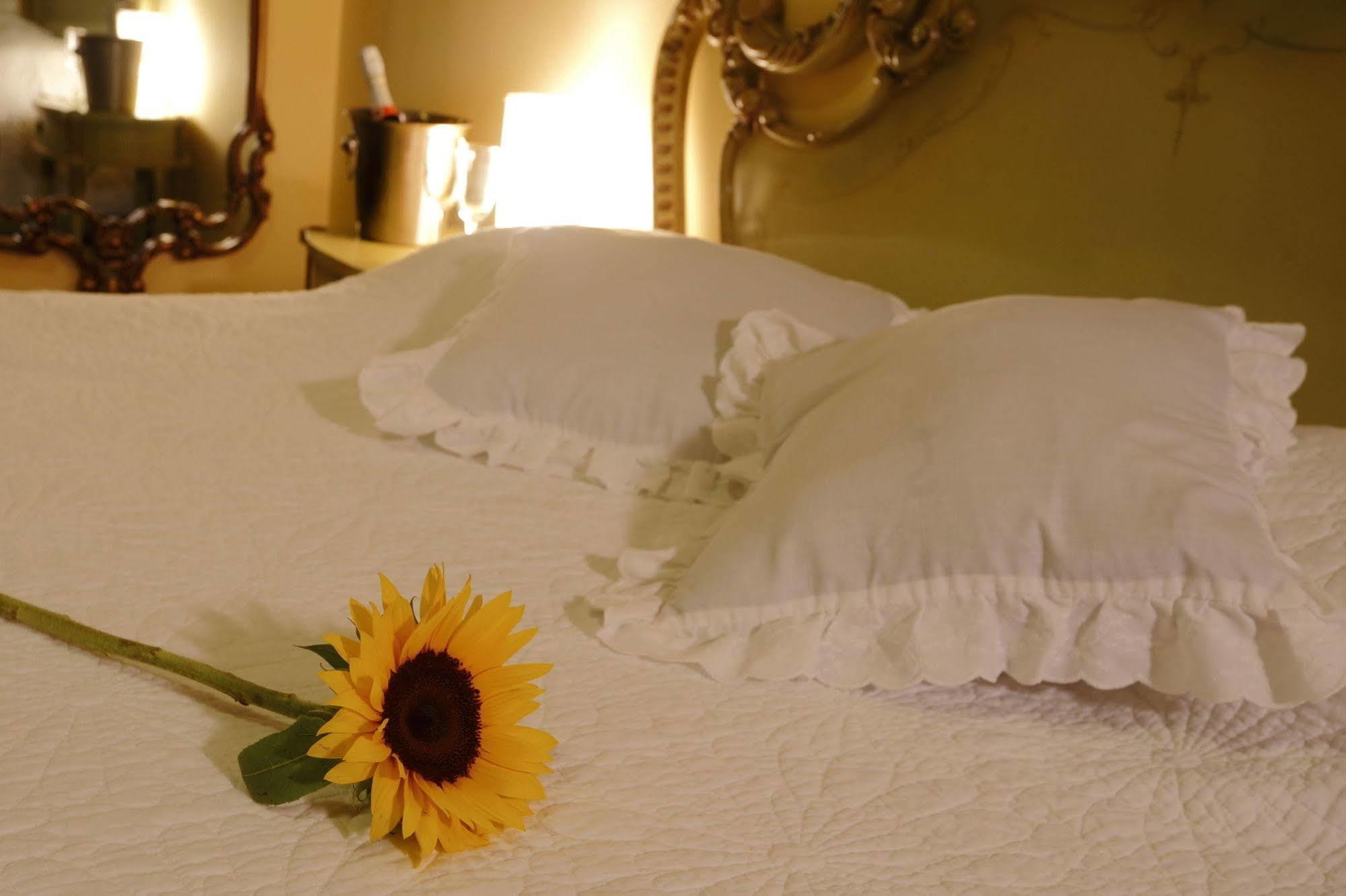 Bed & Breakfast - La Casa De Ceci ลิมา ภายนอก รูปภาพ